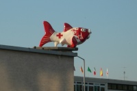 German Red Cross fish.jpg
